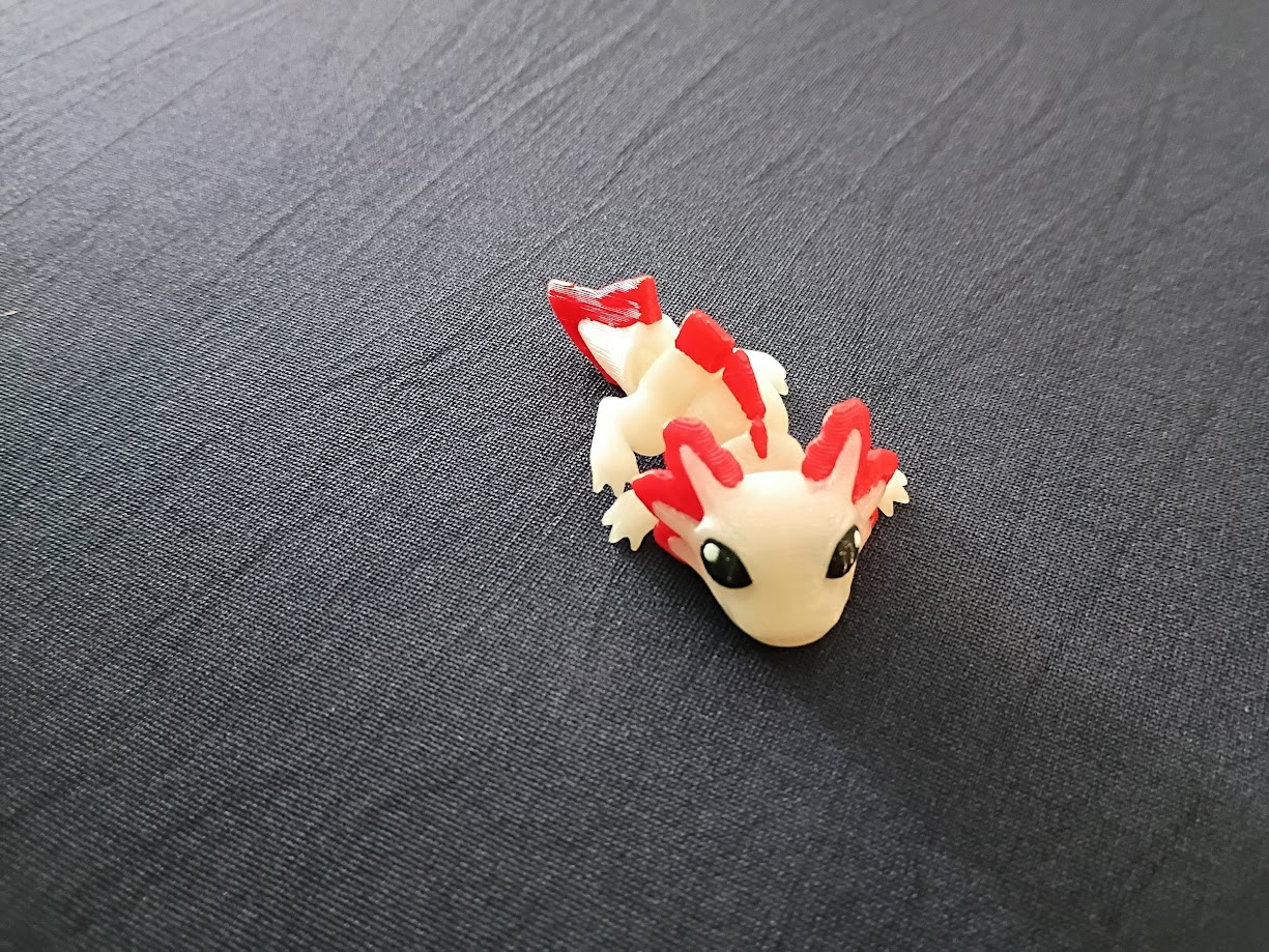 Axolotl Hatchling — Flexi Magnet Pal additional photo